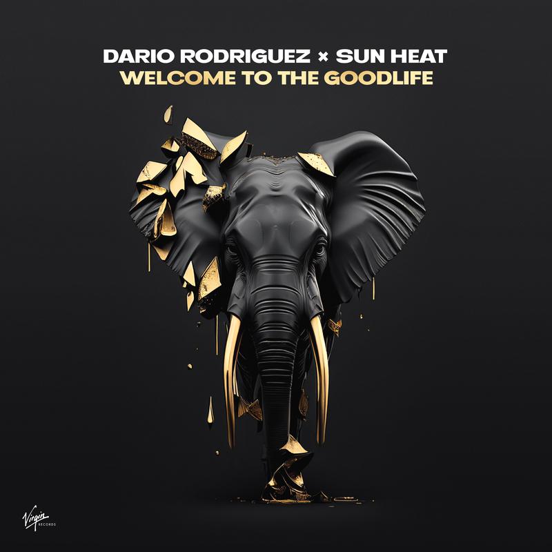 Dario Rodriguez - Welcome to the Goodlife