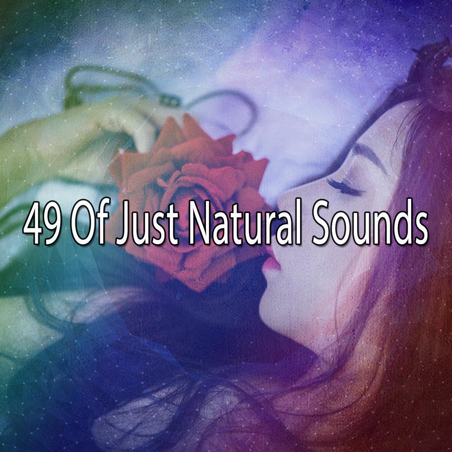 49 Of Just Natural Sounds专辑