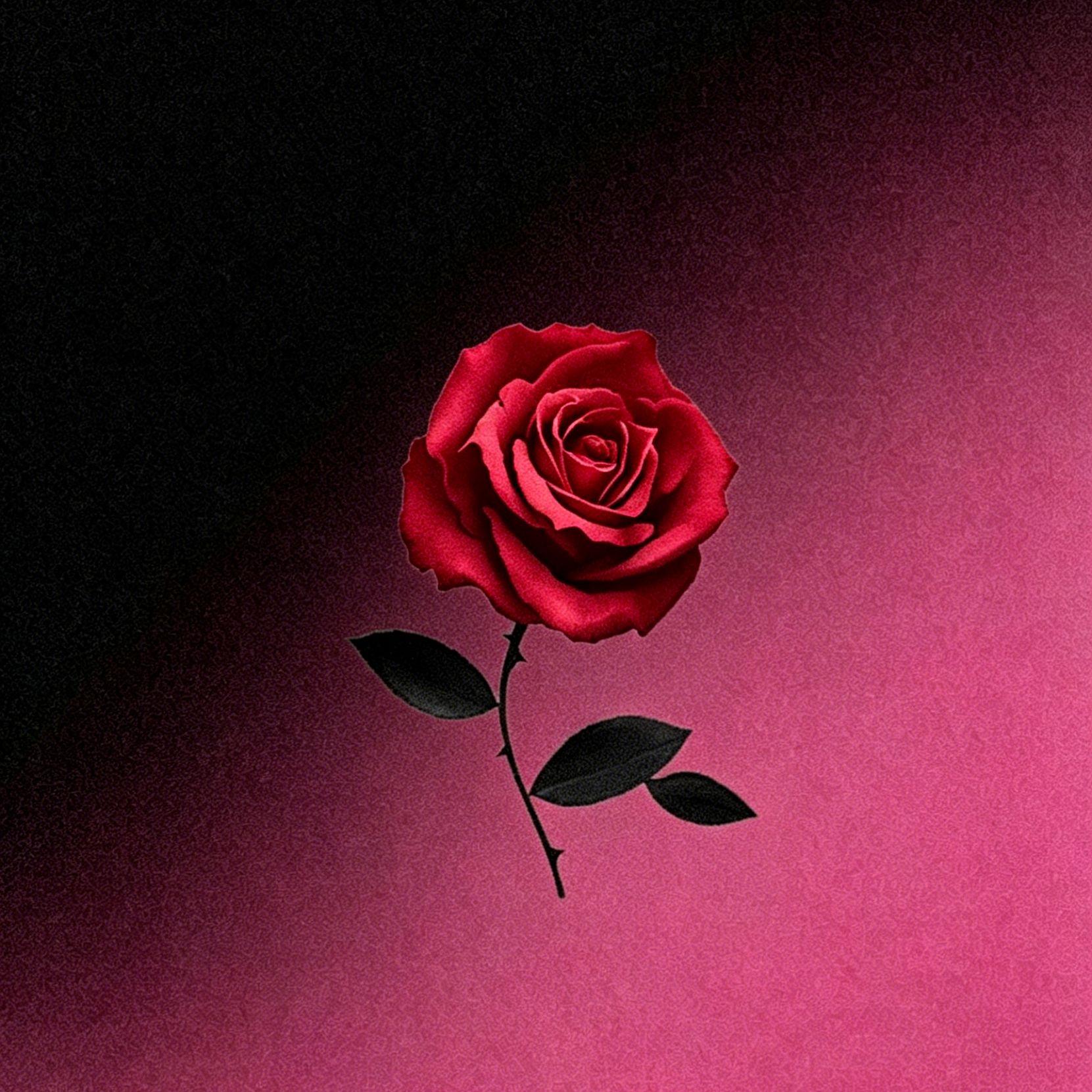 Fallen love