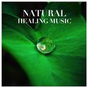 Natural Healing Music (힐링음악)专辑
