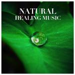 Natural Healing Music (힐링음악)专辑