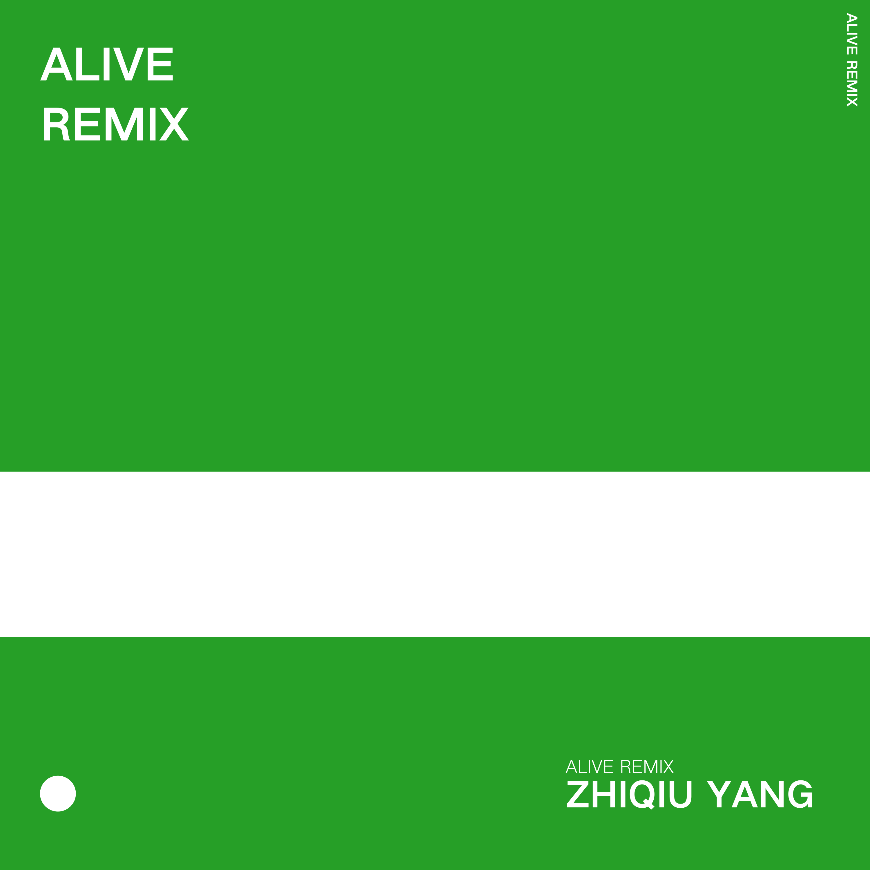 Alive（Zhiqiu Yang Remix）