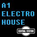 A1 Electro House专辑