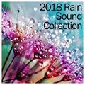 19 New Rain Sounds - Natural, Loopable with No Fade for Perfect Relaxation