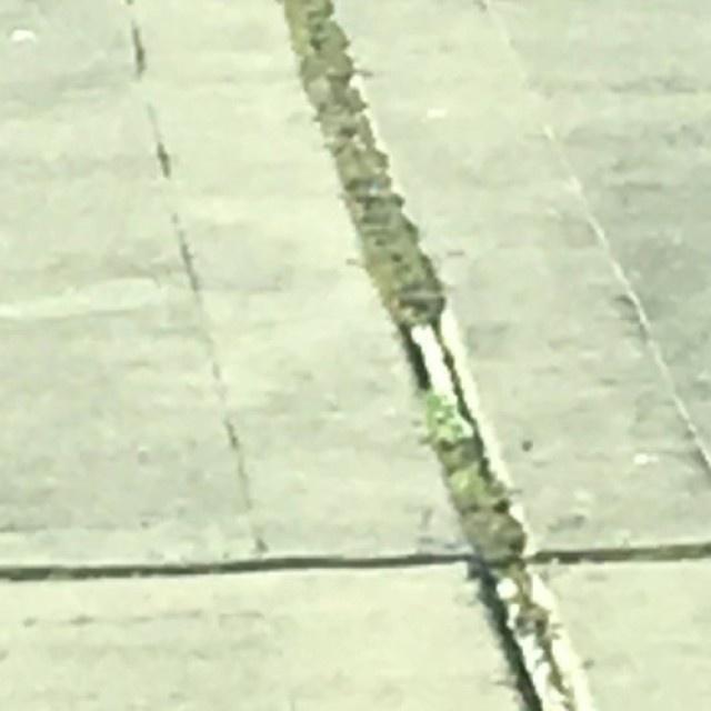 WASTE OF TIME (P. DESPAIR)