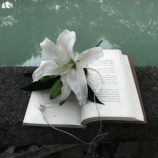 华语｜文艺｜少女心事｜淡淡的 慢慢的