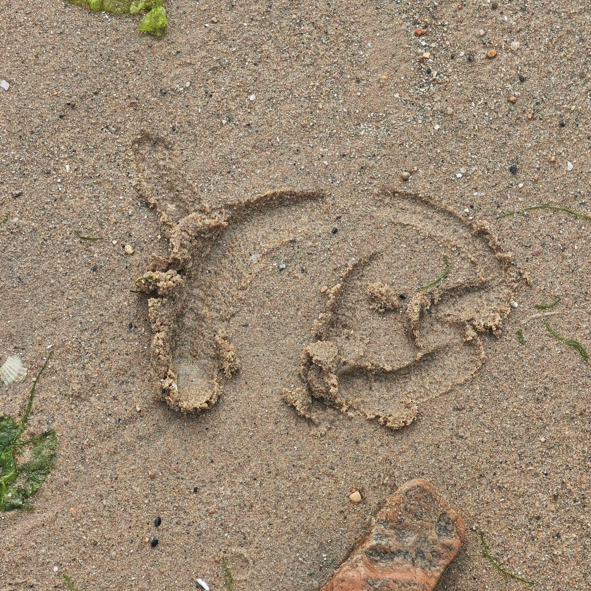 又像风儿又像雨（feat.洛天依&乐正绫）