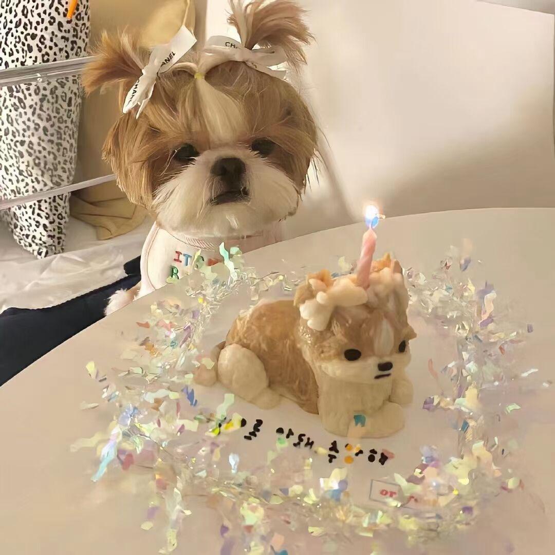 不完整翻唱<小片段>