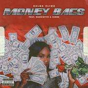 Money Bags