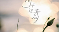 词不达意专辑
