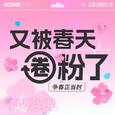《又被春天圈粉了》