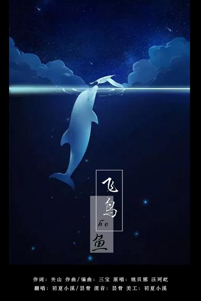 飞鸟和鱼专辑