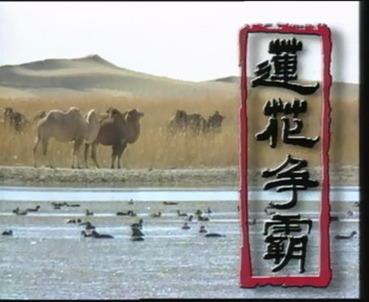 回首红尘