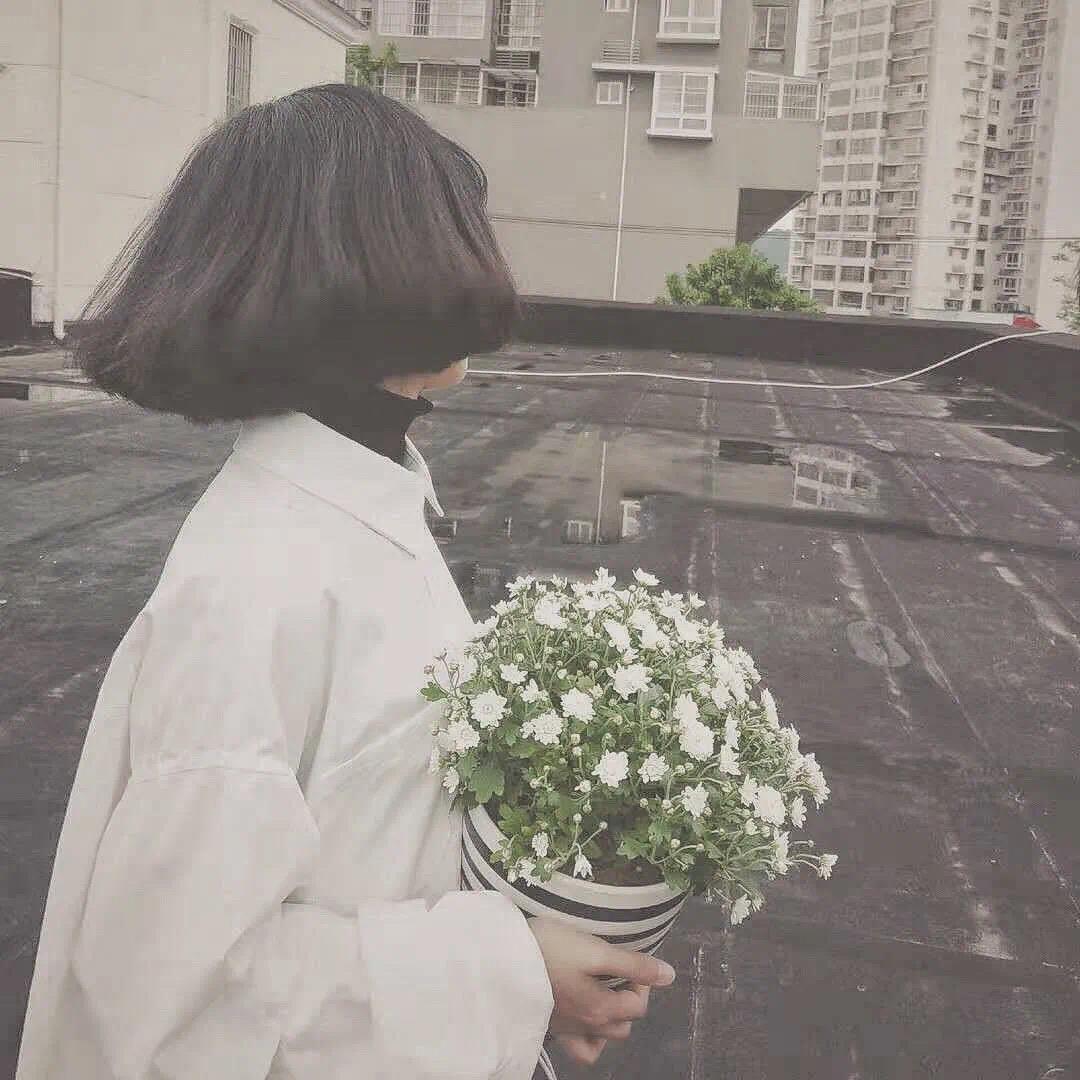 最灿烂的烟火总是先坠落