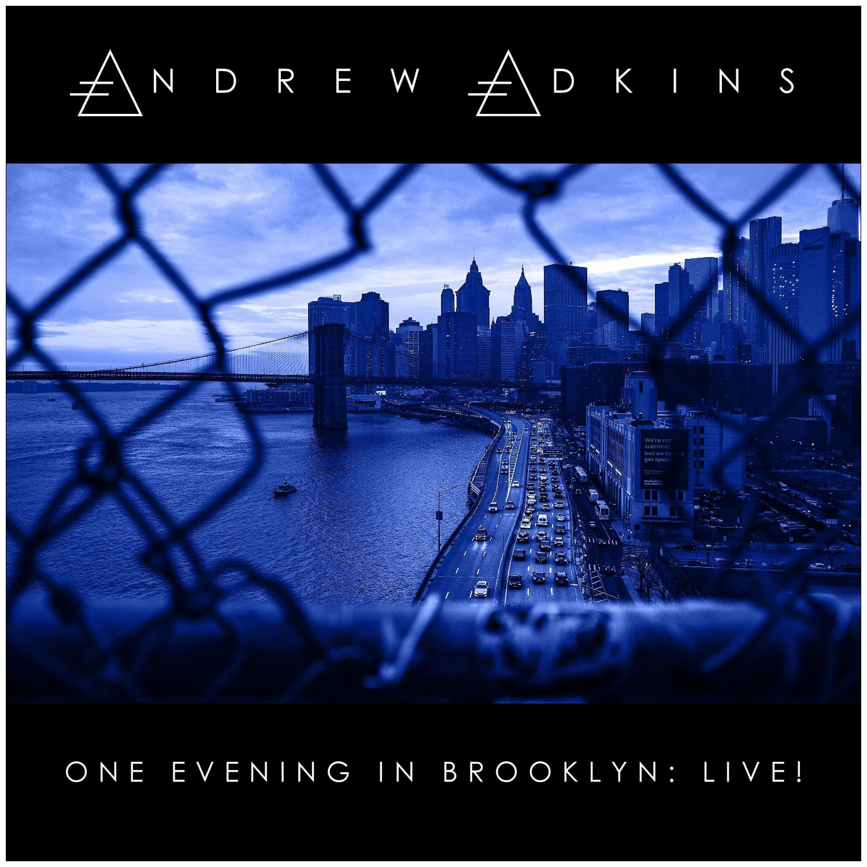 One Evening in Brooklyn: Live!