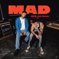 Martin Garrix, Lauv - Mad (RMB Dnb Remix)