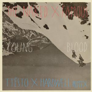 Young Blood - the Naked & Famous (unofficial Instrumental) 无和声伴奏
