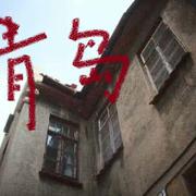 老青岛【demo】