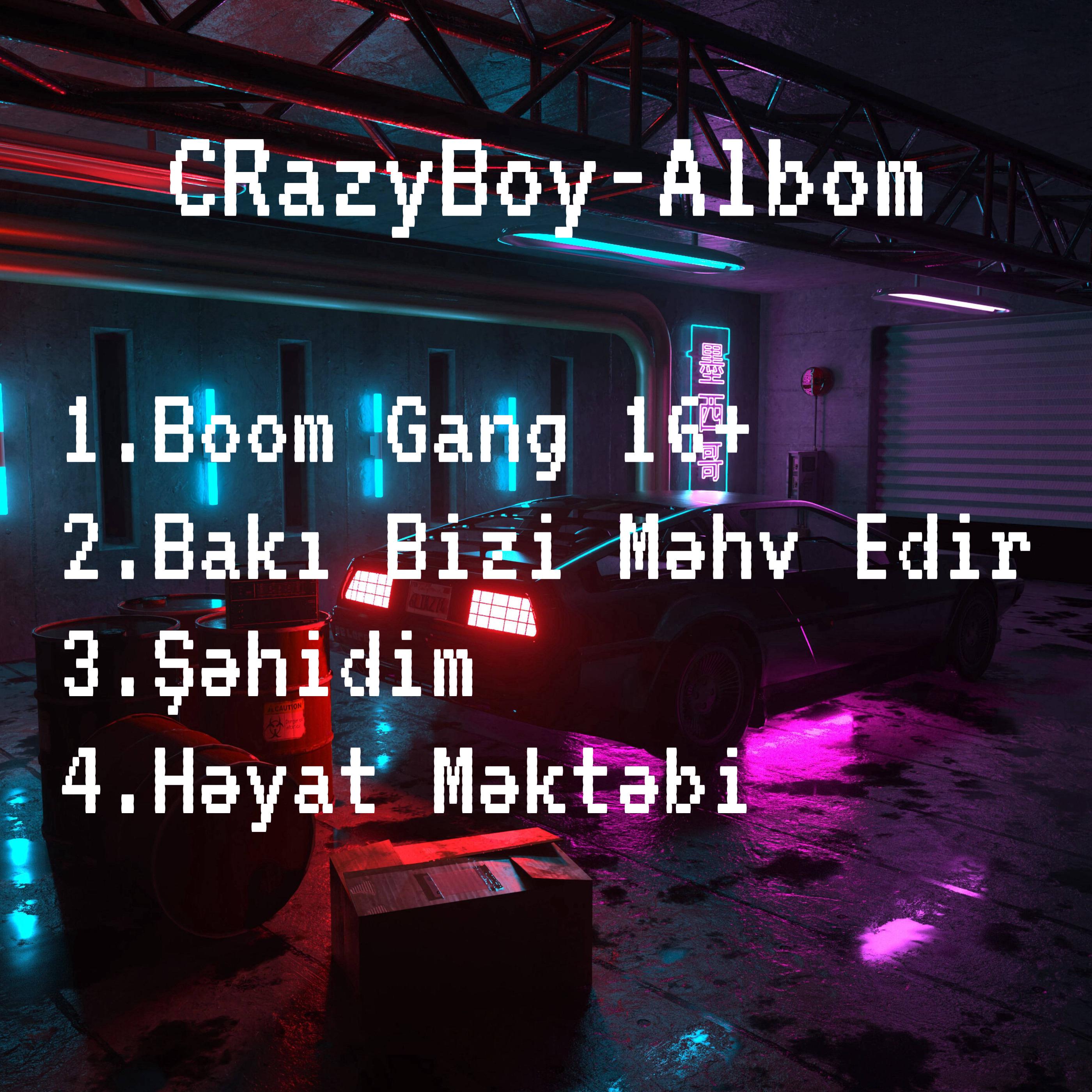 13 Lirika - Crazyboy - Bakı Bizi Məhv Edir (nəq. Ateo)
