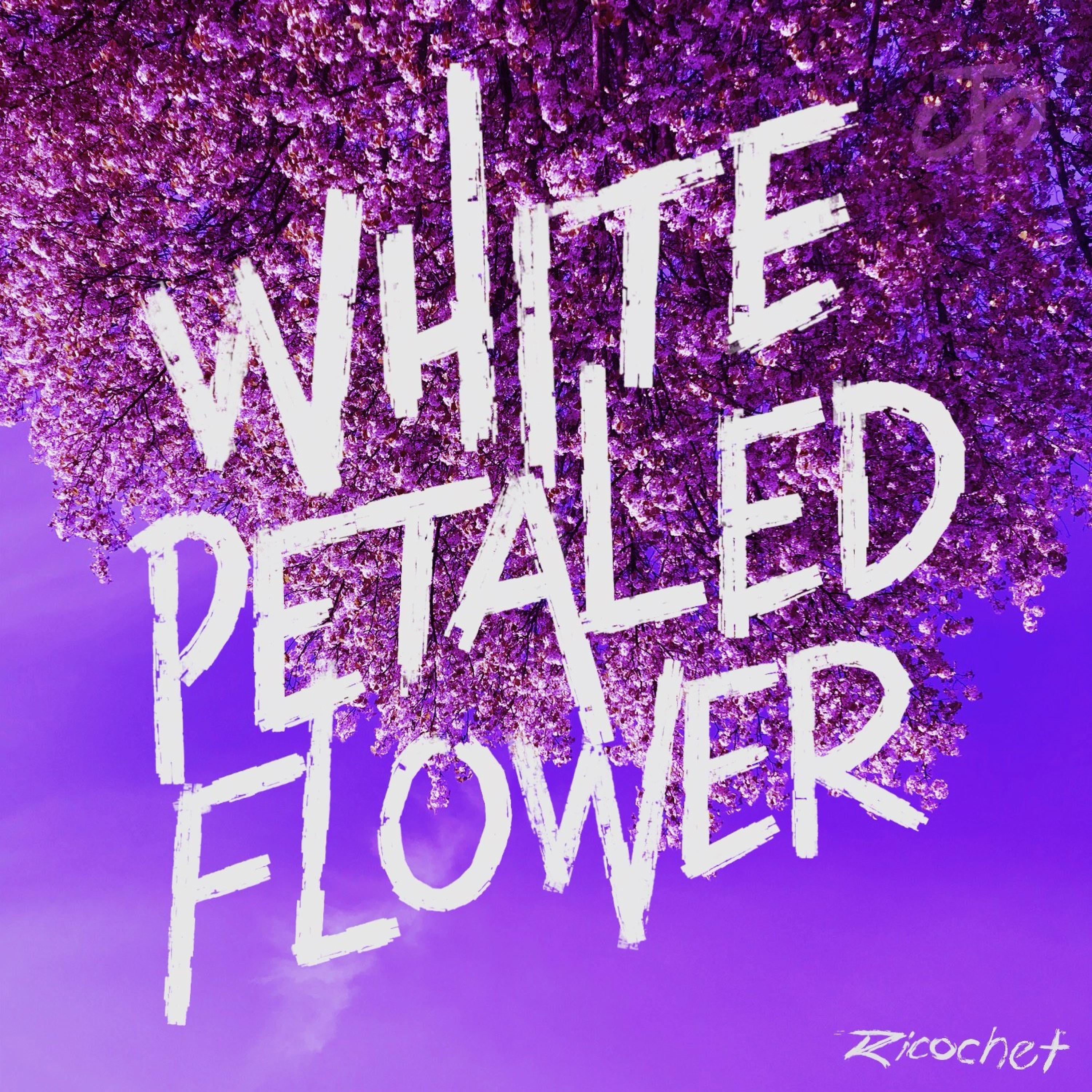 White Petaled Flower