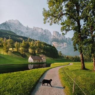 惬意轻民谣：让舒缓旋律裹住清新风