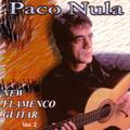 New Flamenco Guitar (Vol. II)