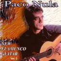 New Flamenco Guitar (Vol. II)专辑