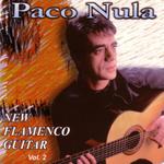 New Flamenco Guitar (Vol. II)专辑