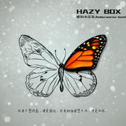 HAZY BOX