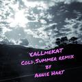 Cold Summer (Annie Hart Remix)