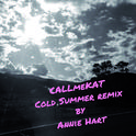 Cold Summer (Annie Hart Remix)专辑