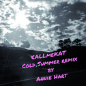 Cold Summer (Annie Hart Remix)专辑