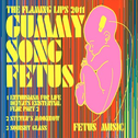 The Flaming Lips 2011 #5: Gummy Song Fetus专辑