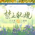 广播剧《禁止犯规》原创配乐 (纯音乐)