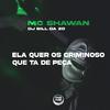 MC Shawan - Ela Quer os Criminoso Que Ta de Peça