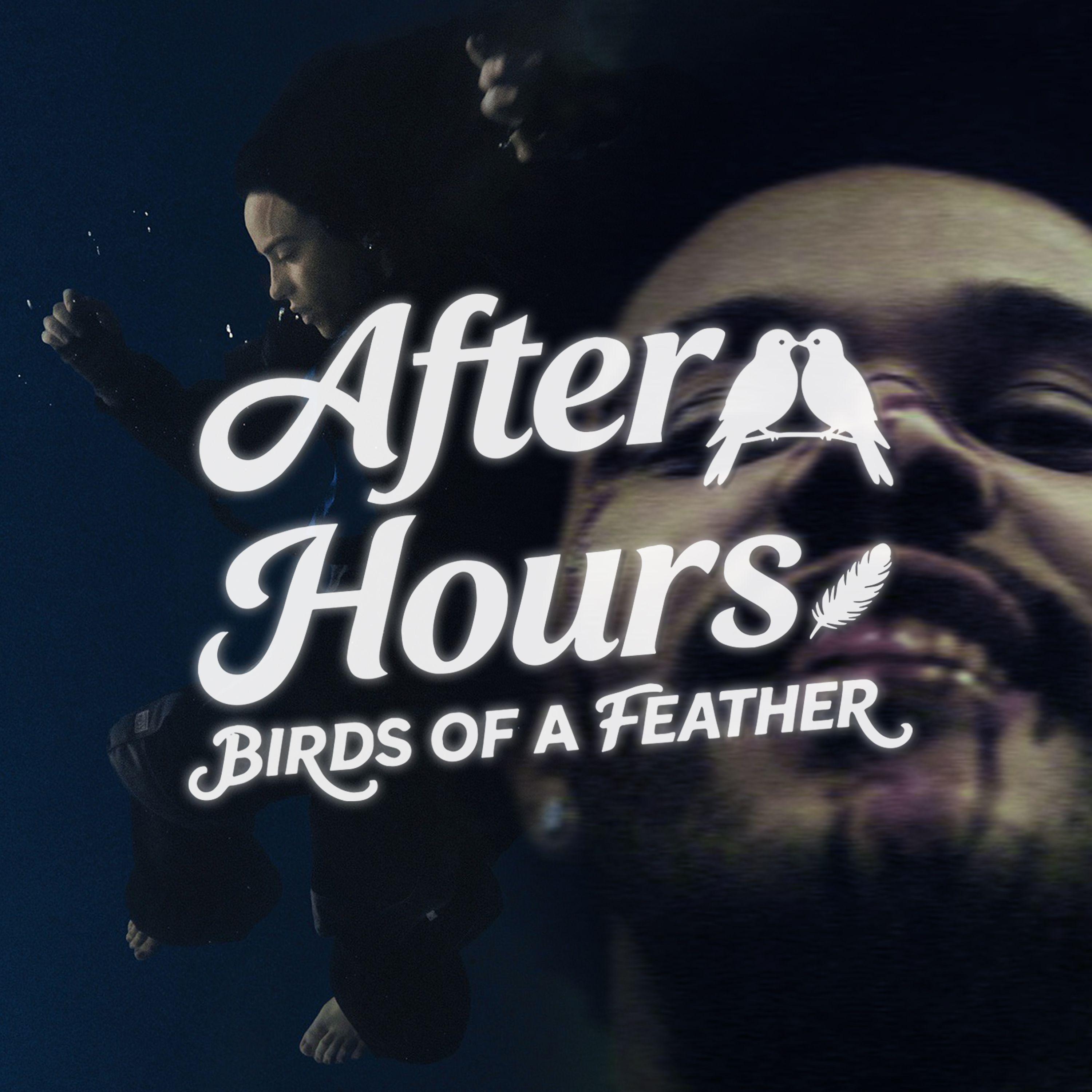 After Hours x BIRDS OF A FEATHER