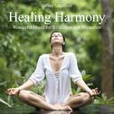 Healing Harmony (Wonderful Music for Relexation and Recreation)专辑