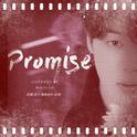 Promise(COVER JIMIN)专辑