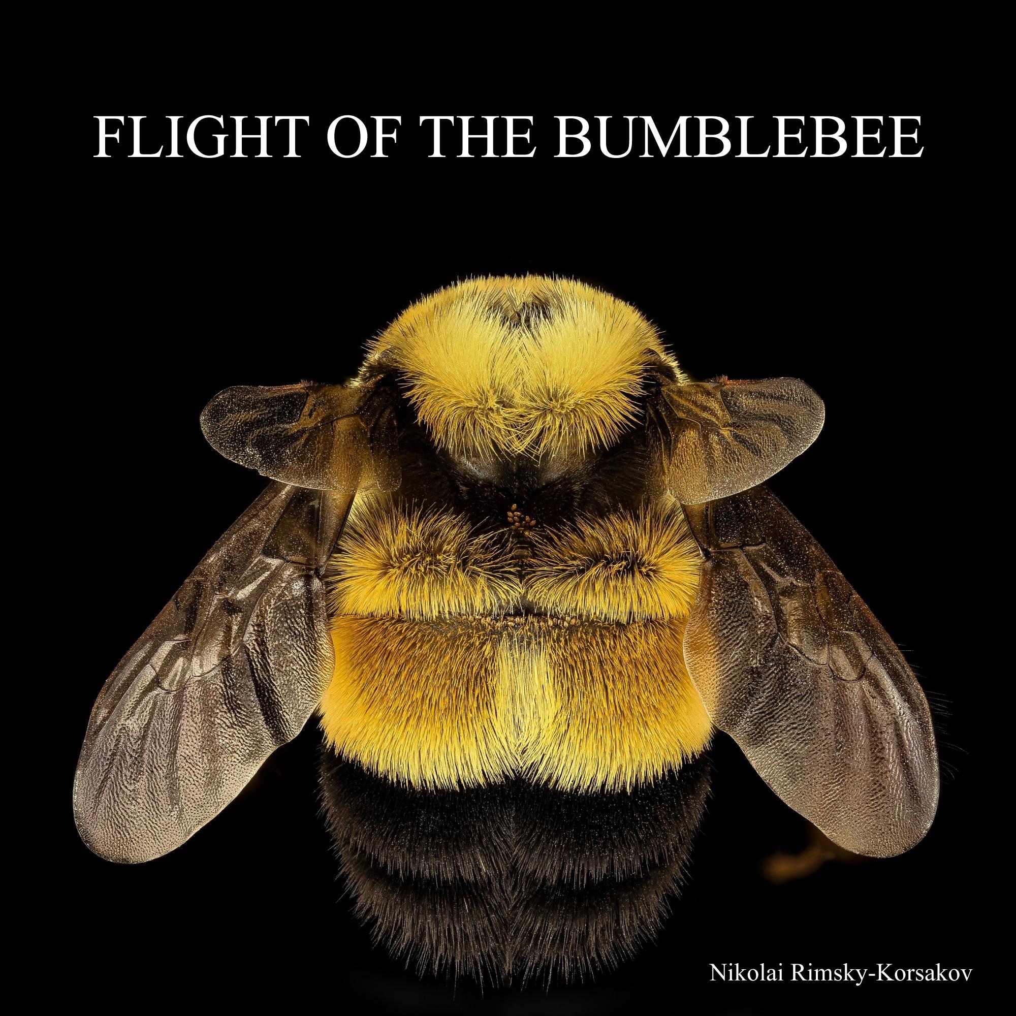 The Flight of the Bumblebee