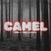 L Young - CAMEL (feat. $hinji & TrickyRick)