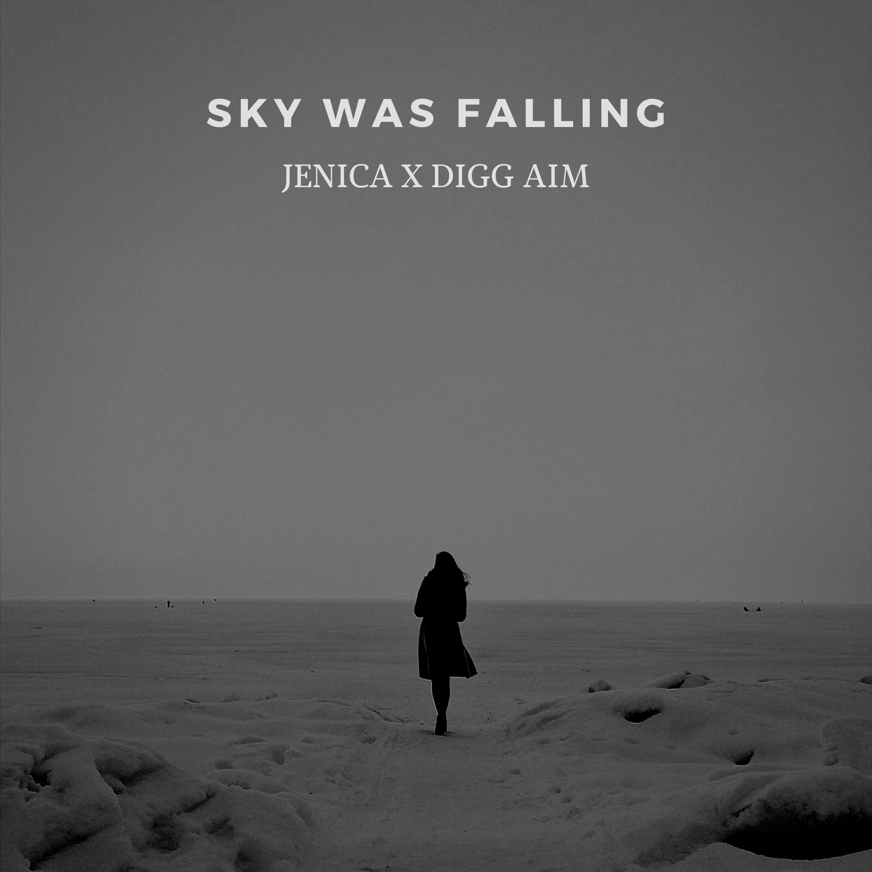 Sky Was Falling (feat. Jenica) [Remix]