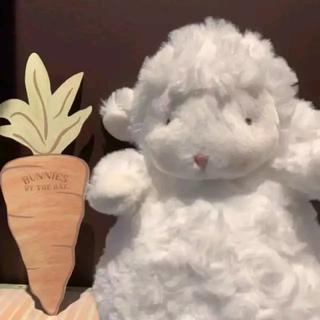 是二智呀｜世界的温柔是善意和你