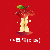 筷子兄弟 - 小苹果 - DJ版伴奏