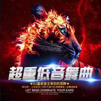 阿哥VIP专用唢呐D 伴奏 慢歌曲串烧