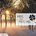 Feel The Feeling Vol.16专辑