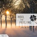 Feel The Feeling Vol.16专辑