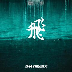 小李飞刀DM Remix