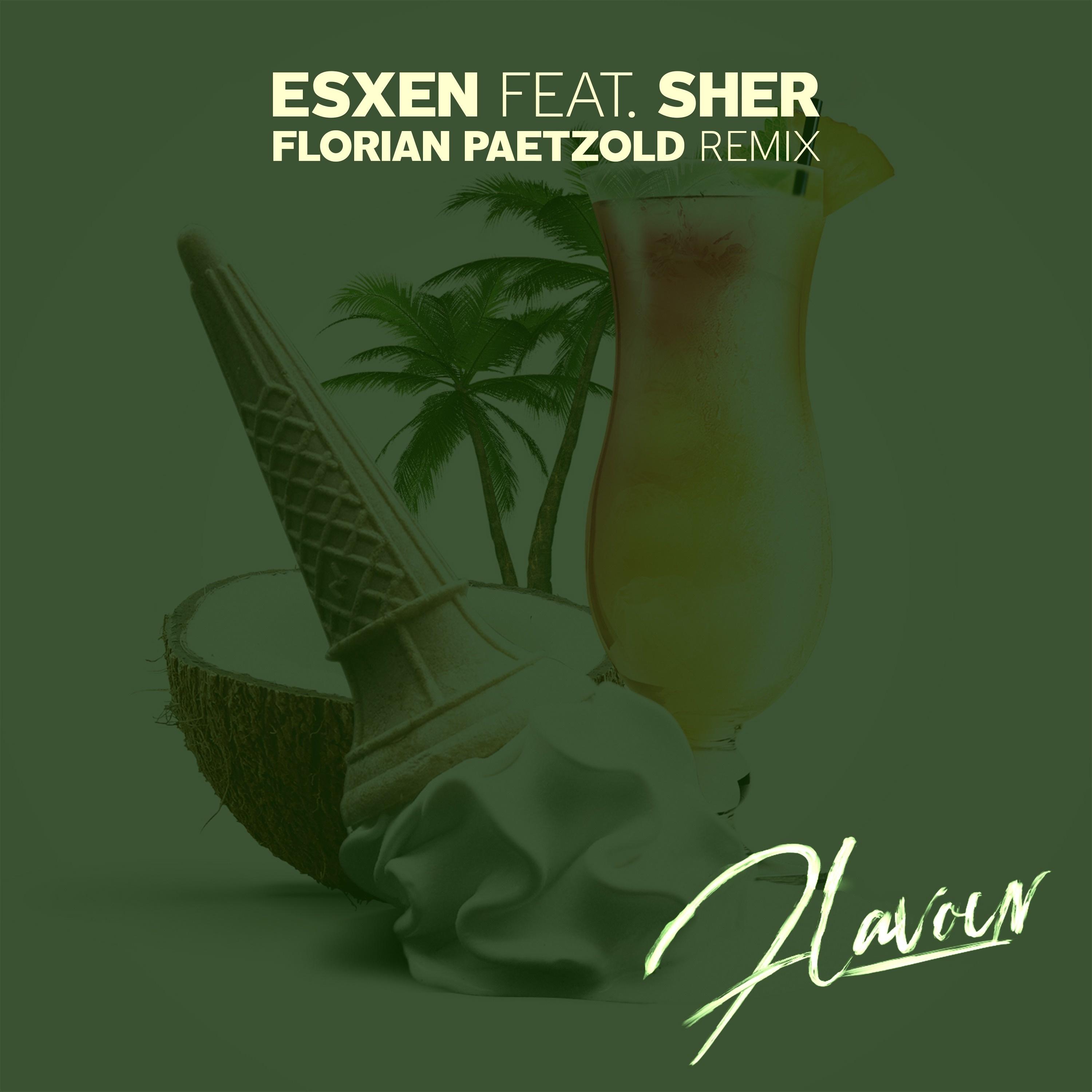 Flavour (Florian Paetzold Remix)