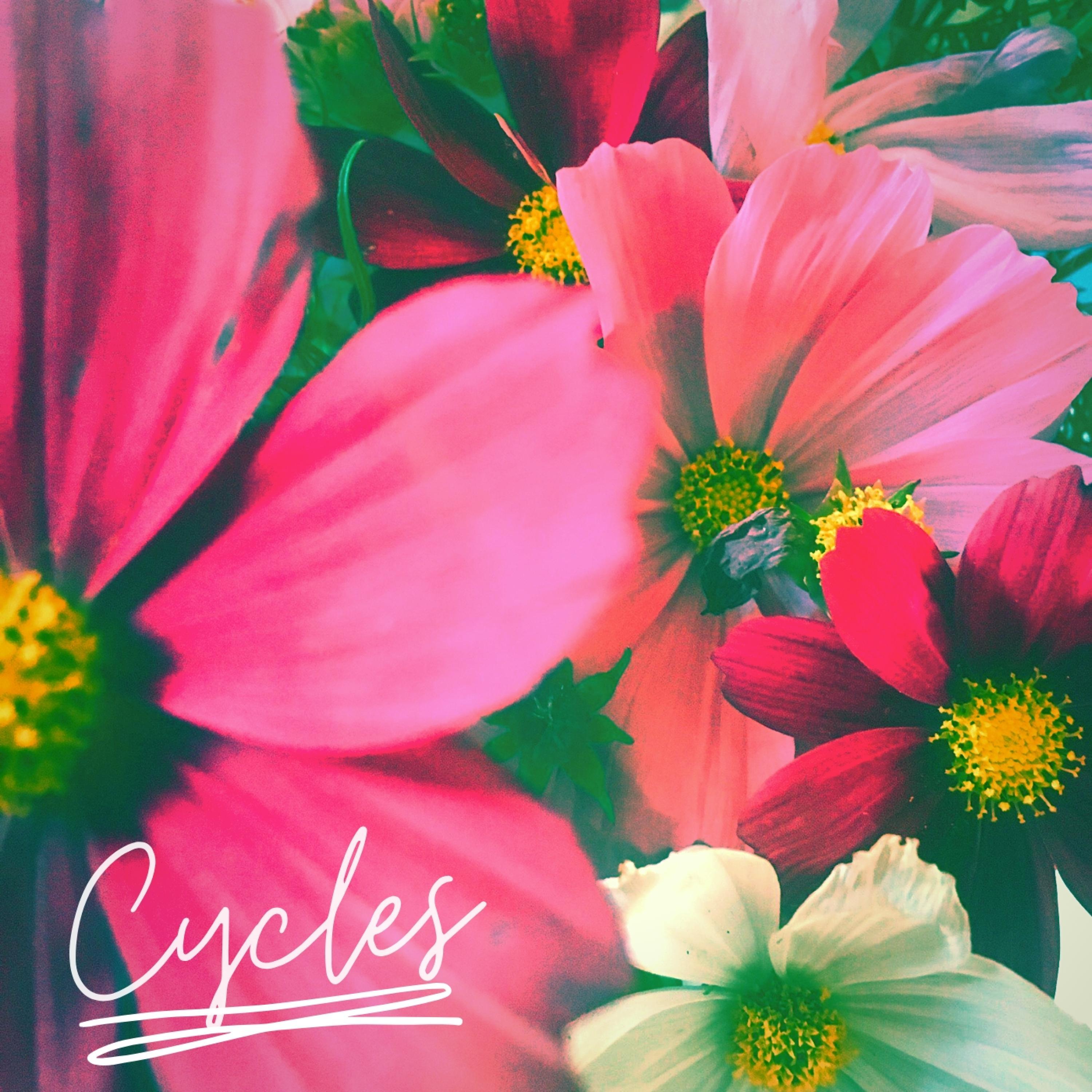 Cycles