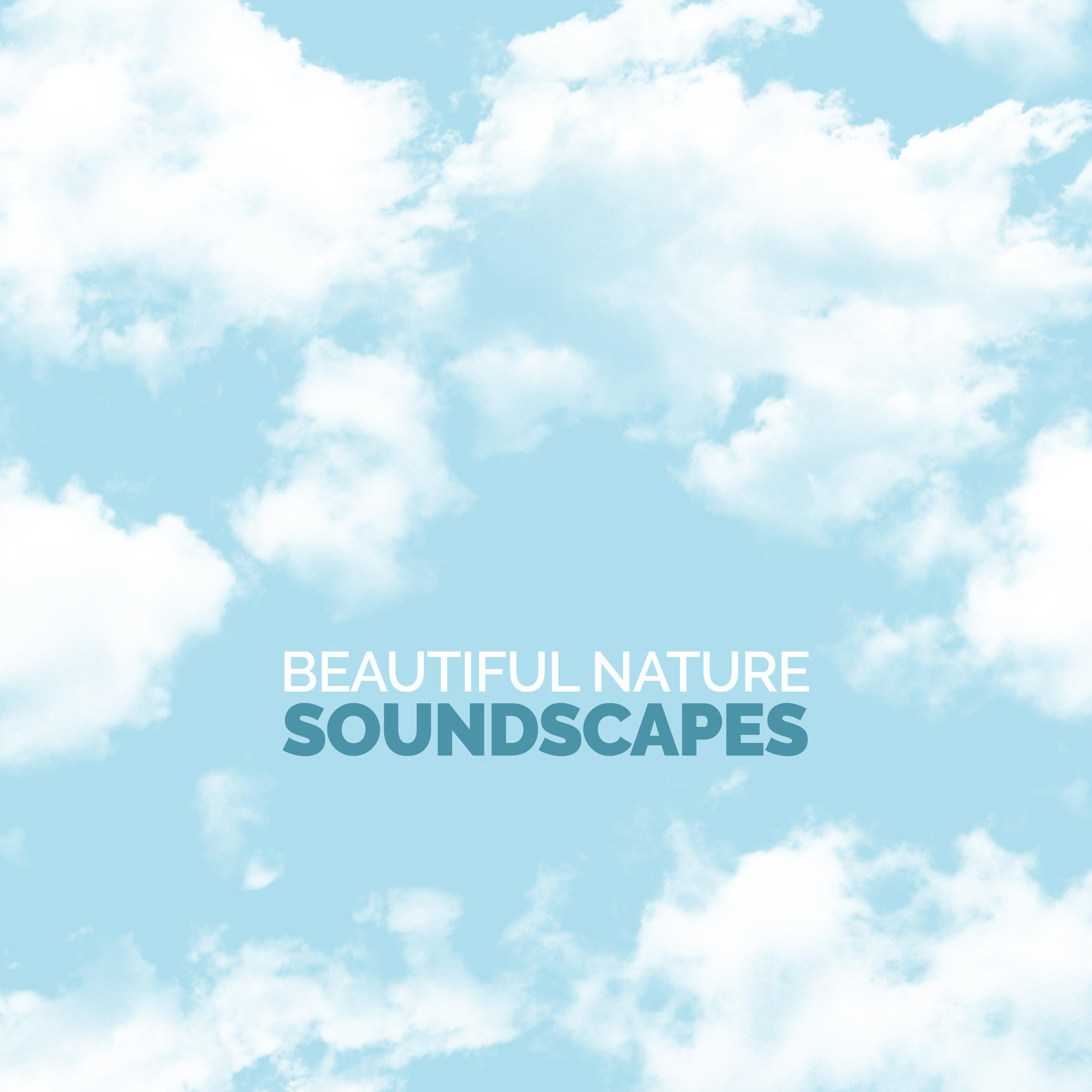 beautiful nature soundscapes
